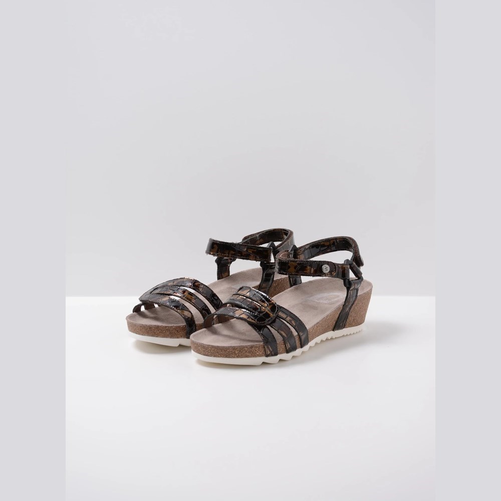 Brown Wolky Pacific Women's Sandals | EIVQ79681