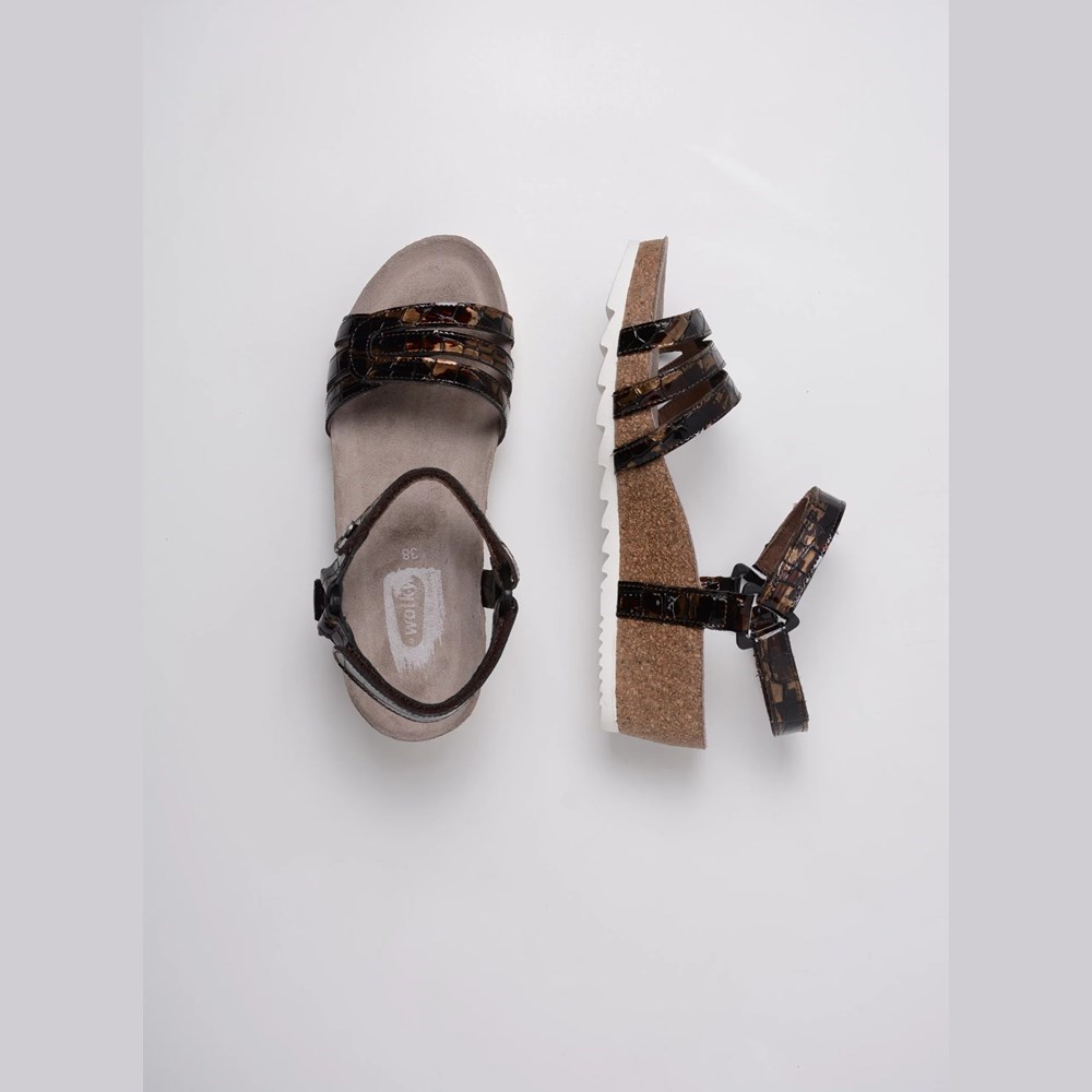 Brown Wolky Pacific Women's Sandals | EIVQ79681