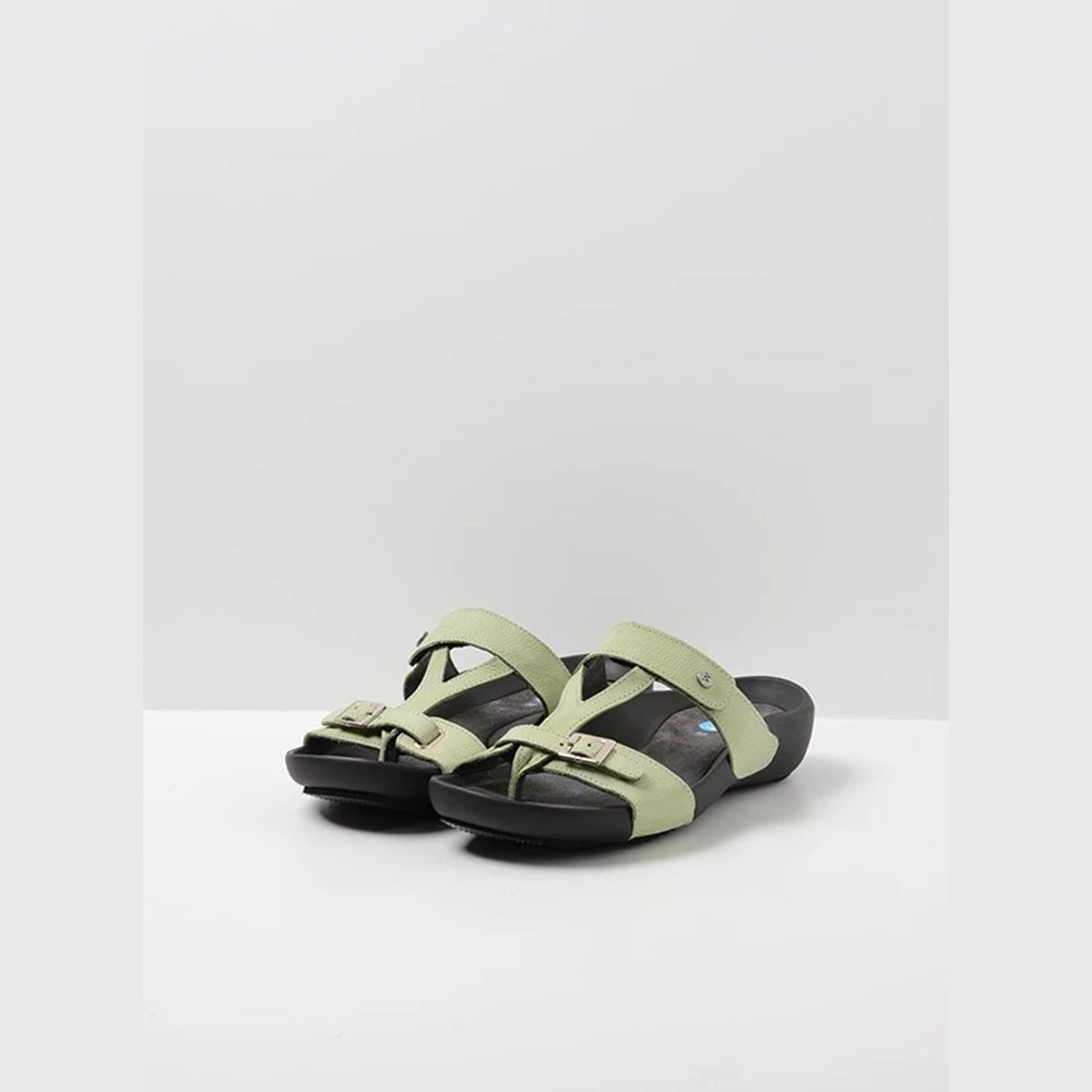 Green Wolky Connor Women's Sandals | ZRVD61872