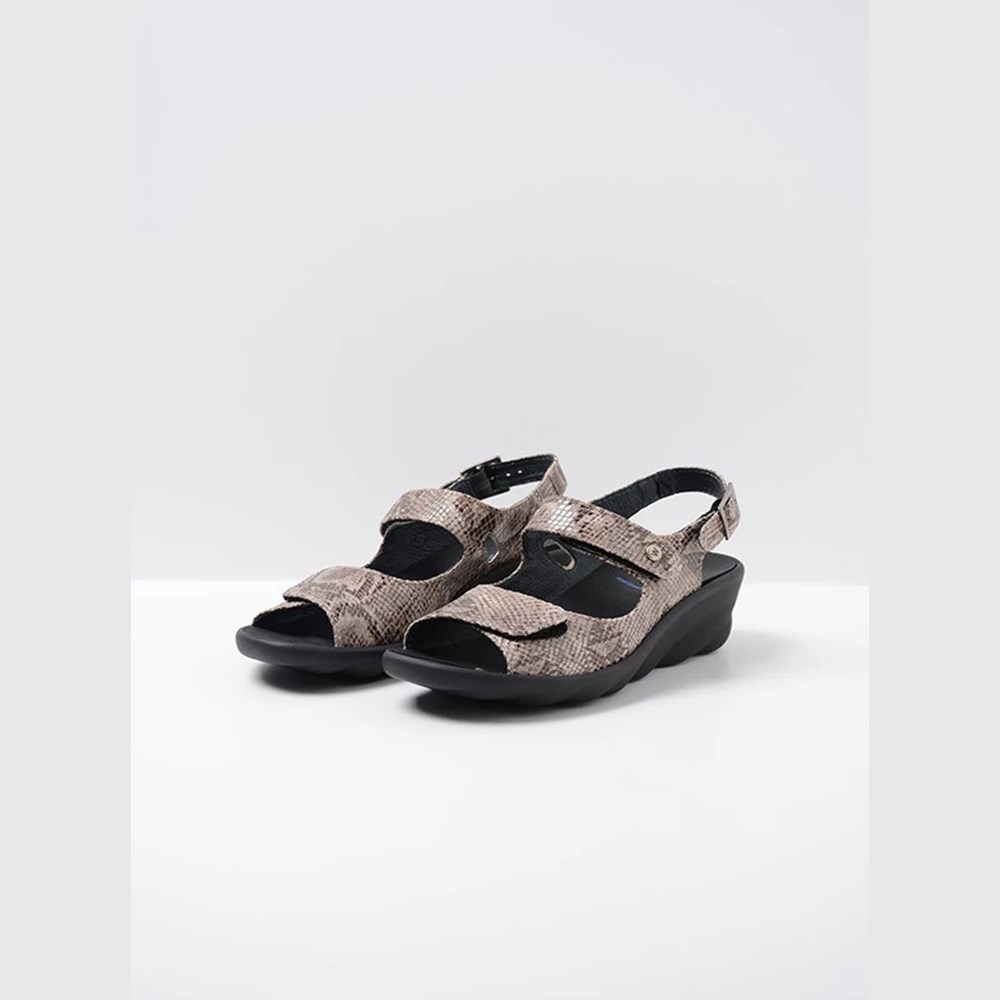 Grey Brown Snake Wolky Scala Women's Sandals | PNDU06291