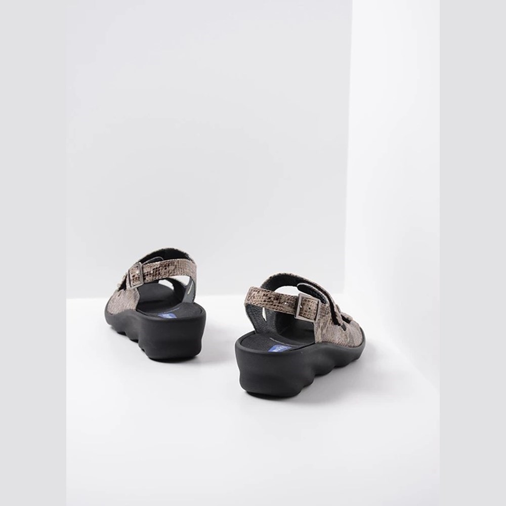 Grey Brown Snake Wolky Scala Women's Sandals | PNDU06291