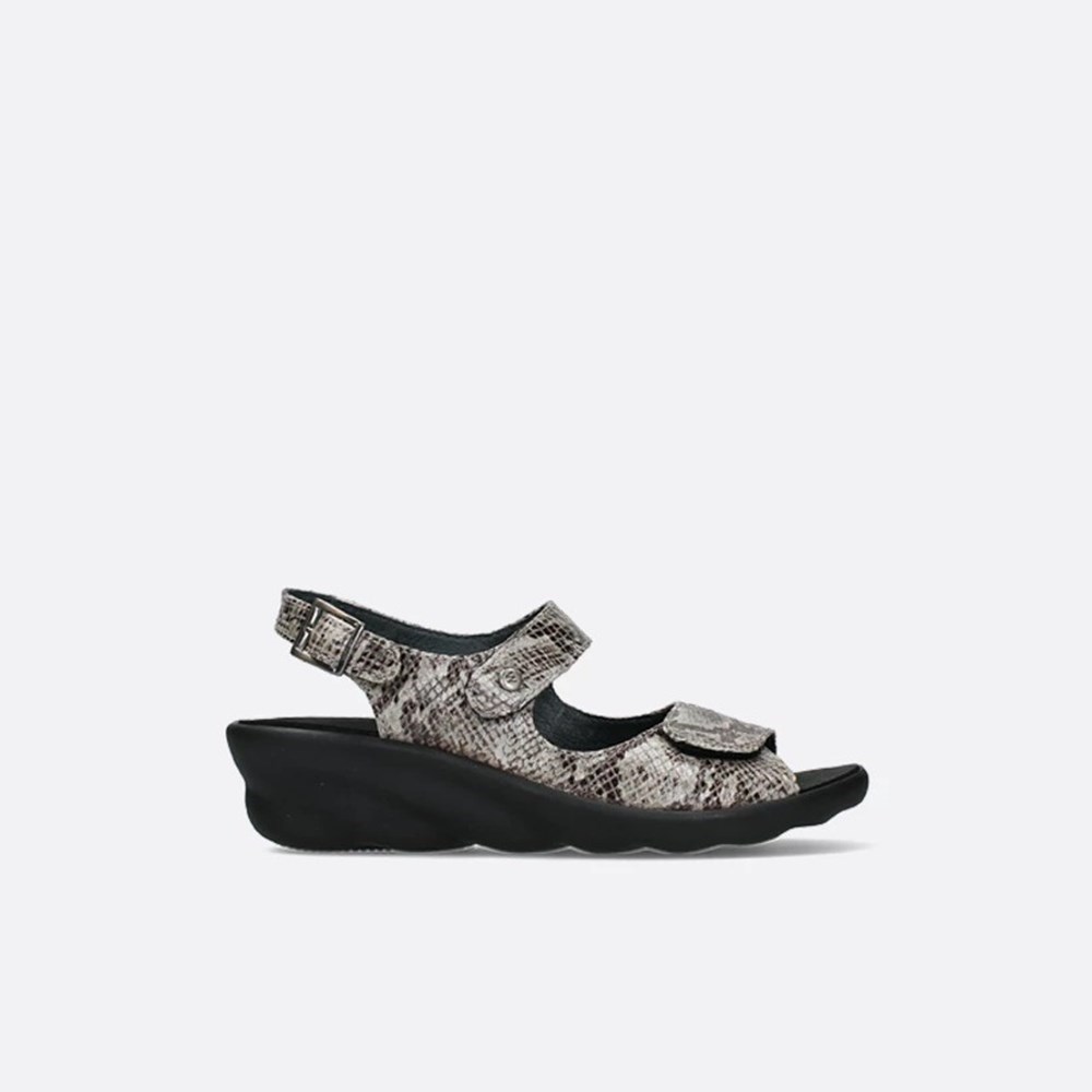 Grey Brown Snake Wolky Scala Women\'s Sandals | PNDU06291