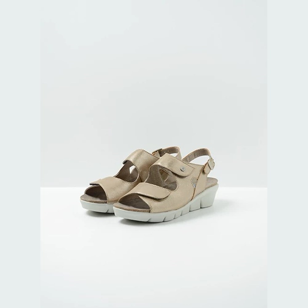 Grey Brown Wolky Star Women's Sandals | UCZP31047