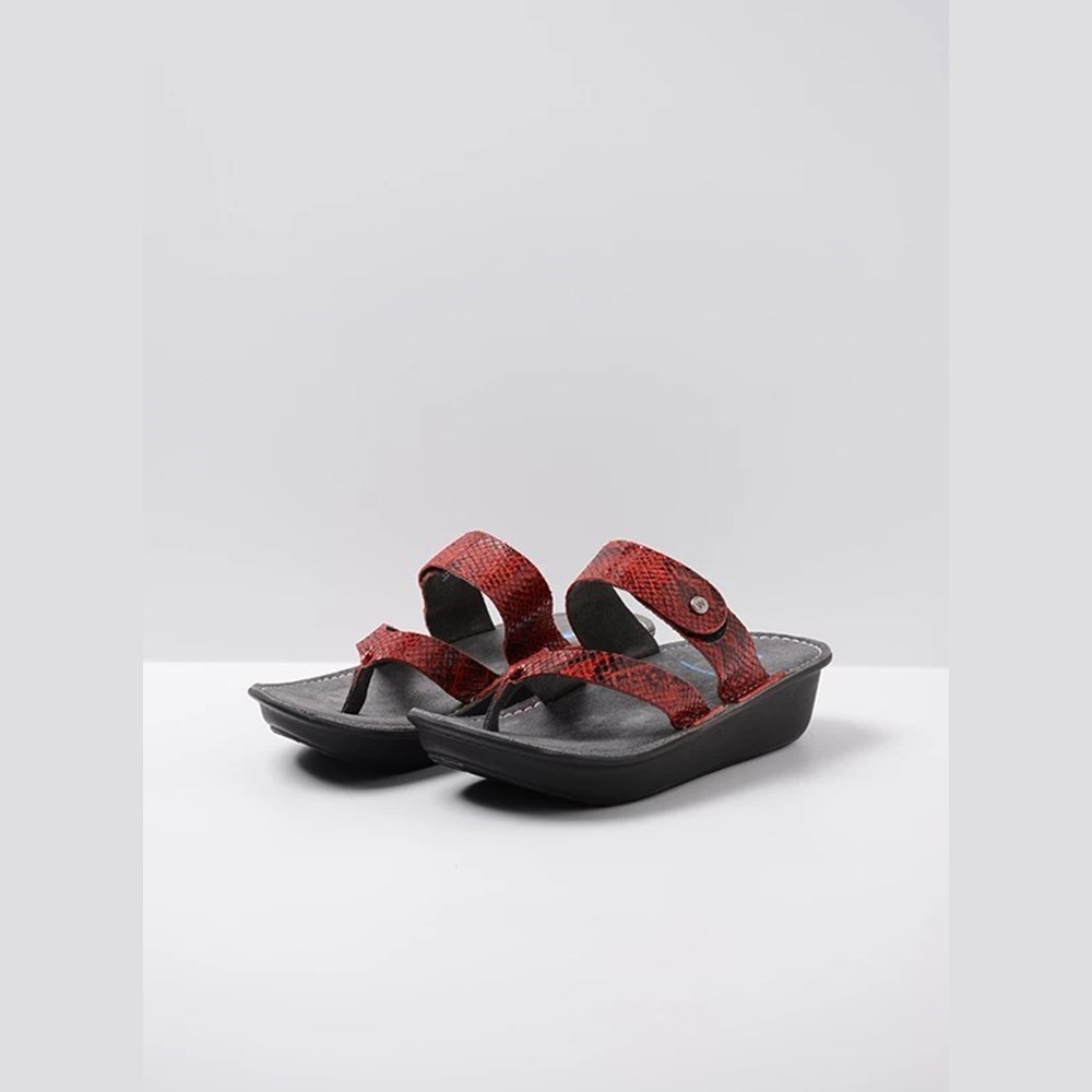 Red Snake Wolky Martinique Women's Sandals | EXDP96810