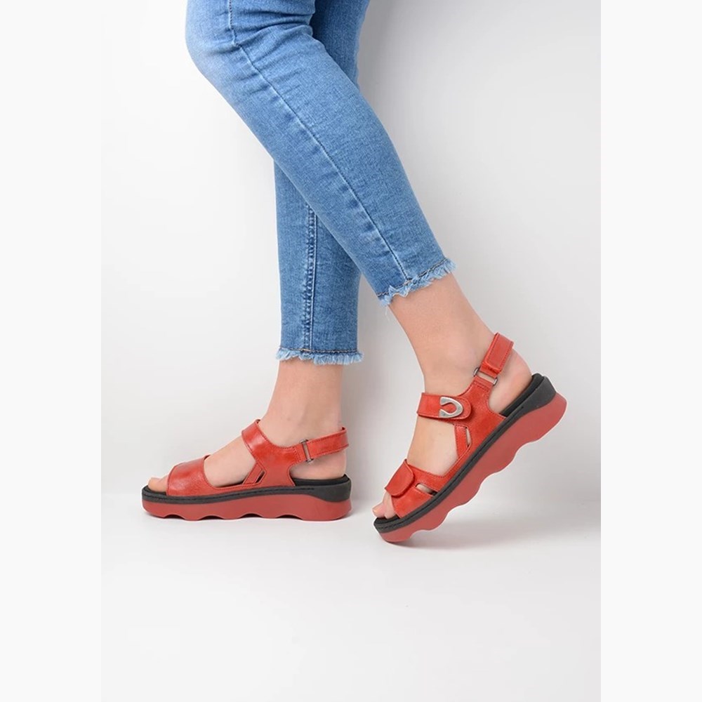 Red Wolky Medusa Women's Sandals | ZUPX76312