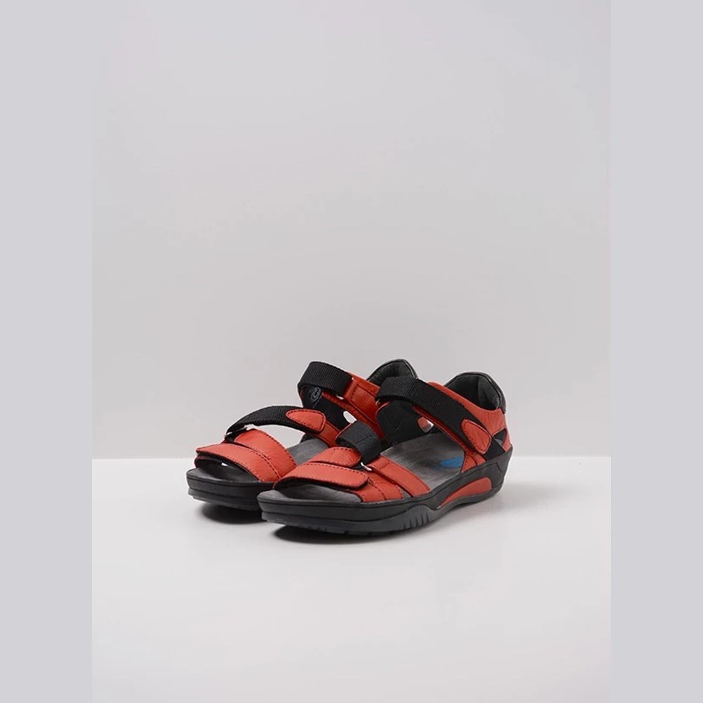 Red Wolky Ripple Women's Sandals | UHBP45730