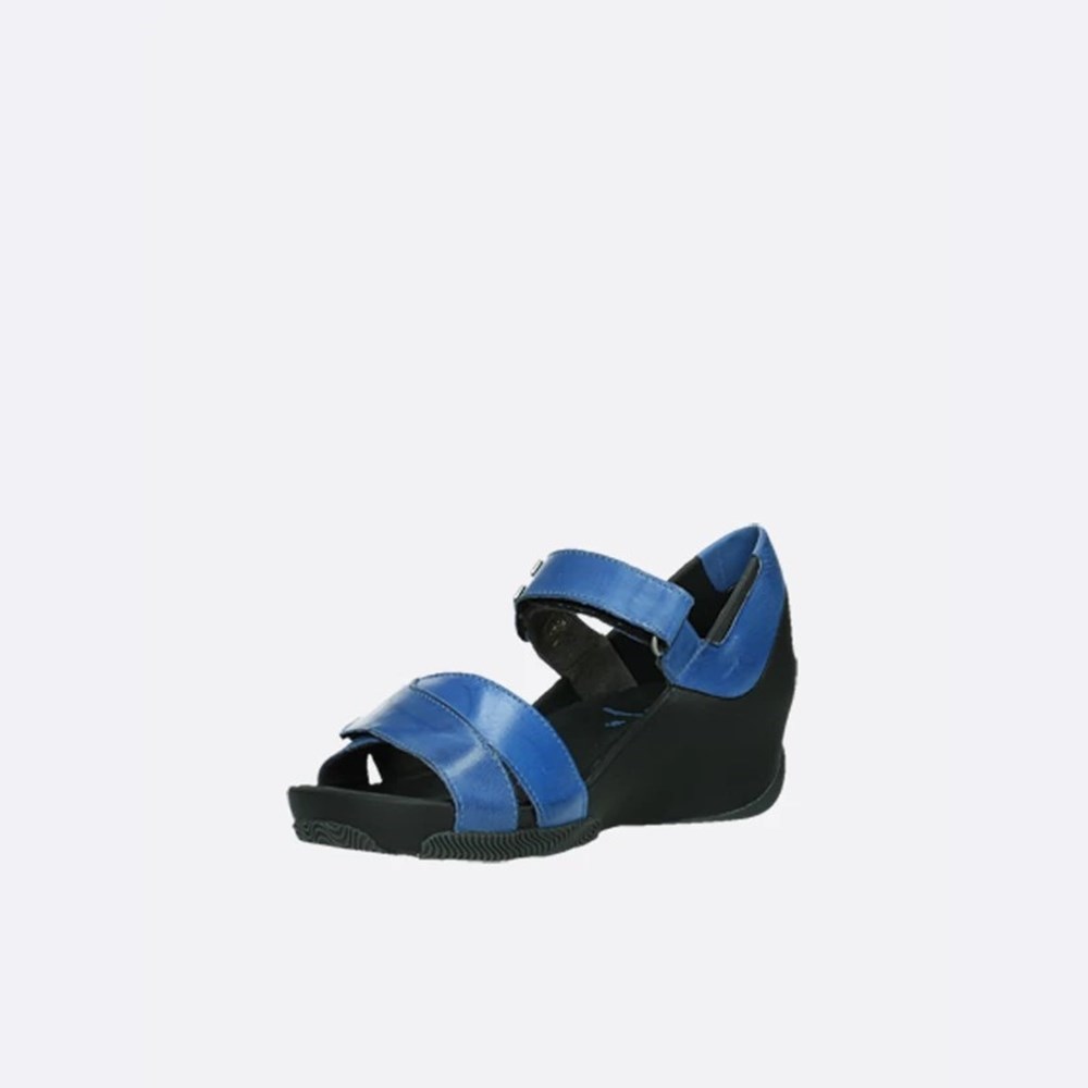 Royal Blue Wolky Epoch Women's Sandals | BCQV56490