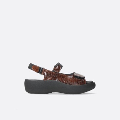 Brown Wolky Jewel Women's Sandals | YIUB49821