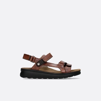 Brown Wolky Mile Women's Sandals | GVHA65298