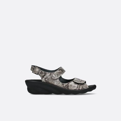 Grey Brown Snake Wolky Scala Women's Sandals | PNDU06291