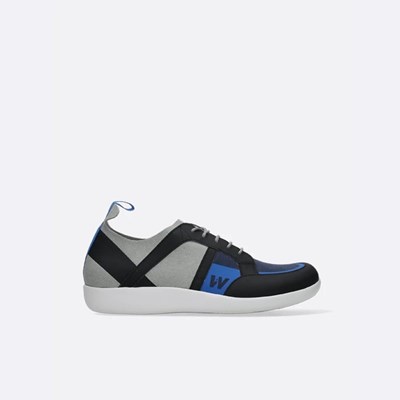 Grey / Royal Blue Wolky Base Women's Sneakers | VFWH35914